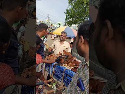 మా నాయుడుపేట విశేషాలు#shorts #shortvideo