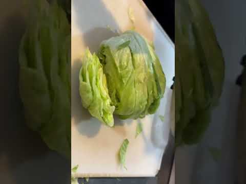 Lettuce ASMR