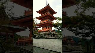 Beautiful Japanese temple 😍 💖  #japan #temple #japanesetemple