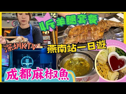 深圳一日遊｜燕南站｜九眼橋麻椒魚成都火鍋 ｜蓮塘口岸附近餐廳｜酷秀ktv｜大汗燒烤•碳烤羊腿｜深圳KTV｜深圳羊肉｜專人燒烤｜試食專區｜2024 深圳餐廳北上搵食｜星星帶團