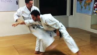 Target - Kata Kicks Below Waist Level