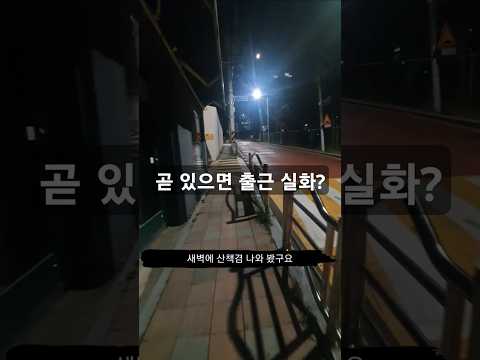 몇시간 후면 출근?#브이로그 #새벽 #산책