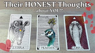 💬🤔💭 Their HONEST Thoughts about You!!  Detailed Love Pick A Card Timeless Tarot reading