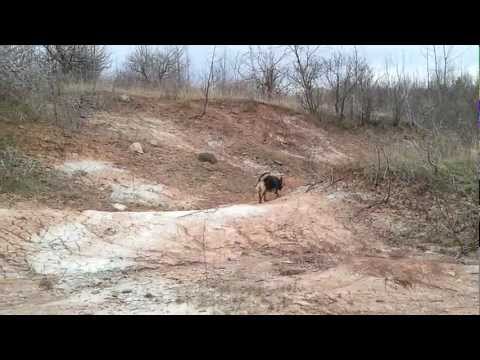 Badlands Hike