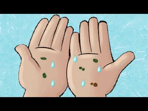 Soap and Water Science (Spanish)