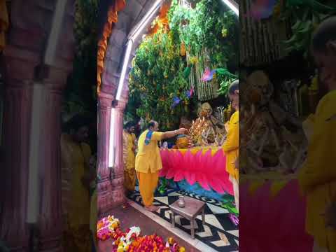 radha ballabh lal darshna #vrindavan_bhakti #shortsviral #shorts #trending
