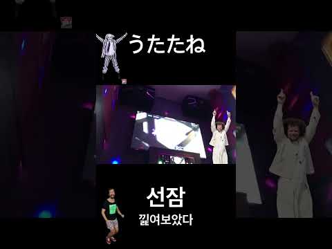 우땨땨네 낉여보았다 #cover #노래 #불러보았다 #うたたね #utatane #선잠 #Leina #레이나 #루이