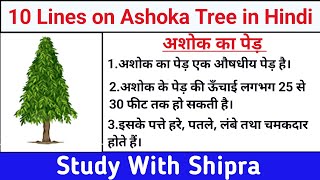10 Lines on Ashoka Tree in Hindi | 10 पंक्तियां अशोक के पेड़ पर | 10 लाइनें अशोक के पेड़ पर | 🌲🌲