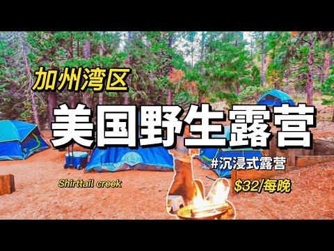 湾区 | 露营 | camping | 野生露营 | 只要$32 一晚 | Lake Tahoe 附近的露营点初体验！#vlog #湾区 #camping #露营