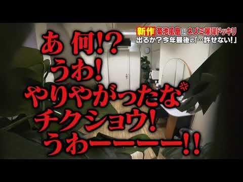 菊池风磨 / 恶作剧名言3-1"不能容許" 許せない