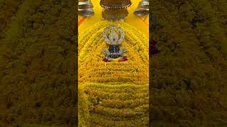 #catchmylifestyle #khatushyamvlog #love #khatumandir #oldisgold #reel