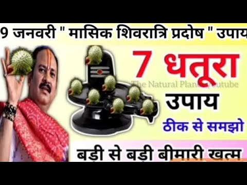 9 जनवरी प्रदोष शिवरात्रि व्रत - प्रदोष कब है - मासिक शिवरात्रि 2024 - pradeep Mishra tomorrow upay