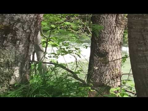 sleep meditation 04