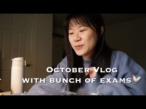 VLOG #101  | 跟電腦一起在床上睡著的那些日子＋開箱台灣包裹📦 | 美國碩士日常