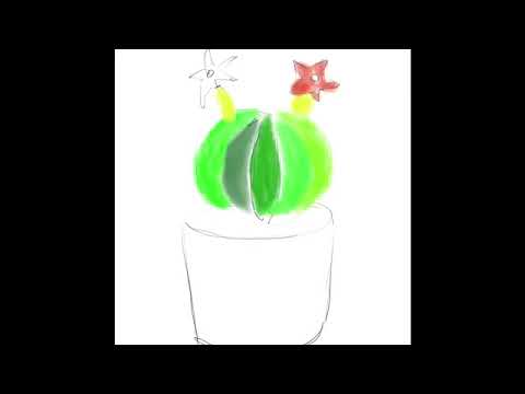 Round cactus paint Procreate time lapse