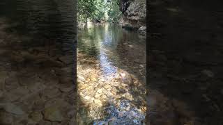 Méditation...#nature #river #soothing #calm #relaxing #meditativemusic #peacefulcalming