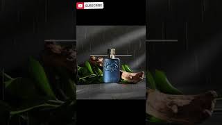 Fragrance to buy if money wasn't a problem #perfume #fashion s #simplychic #fyp #shorts #youtube