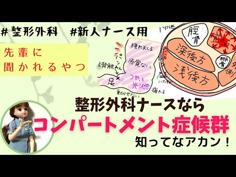 『コンパートメント症候群』整形外科ナースなら知っとくほうが◎#新人ナース#勉強#看護師