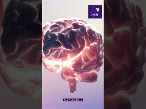 You Know Why Brain Surgery Doesn’t Hurt?  #20secfactss #mindblown #brainfeeling #brainfacts