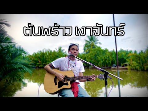 ต้นพร้าว เงาจันทร์ -  มอส  ขจรจารุกุล  Cover  Acustic ต้นฉบับ  วง พันลำ