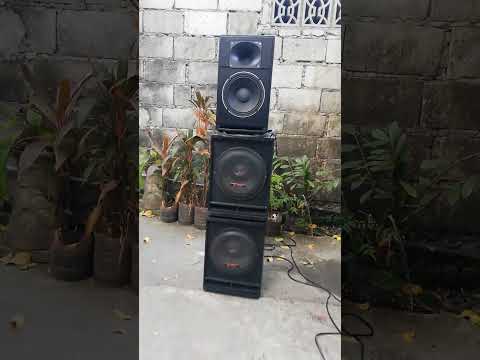 D10 Revised Subwoofer #audioequipment #diyspeaker #loudspeaker