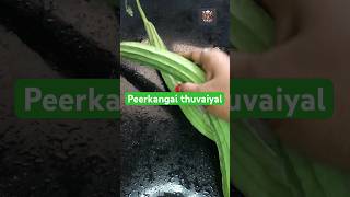#peerkangai#thuvaiyalrecipe#easyrecipe #healthyfood#happycooking#recipe#shortsvideo#food#cooking
