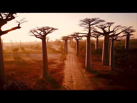Relaxing Soothing Music - Stress Relief Music – Meditation- Study Music -MI Soothing Relaxation