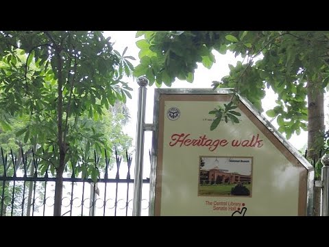 Live Vlogging Company Garden All Around it [ Memers Pls Dont Watch Full Video ]