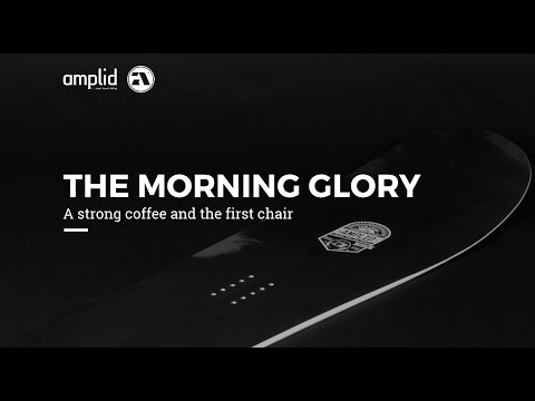 Amplid Morning Glory 15/16