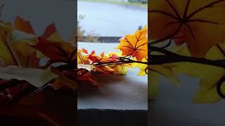 Treat YOURSELF WELL This Fall - #shorts #outdoordining #falldecor #tablesetting #treatyourself