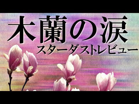 木蘭の涙～acoustic～スターダスト☆レビュー 歌詞付き💎高音質フル🎧(cover) Mokuren No Namida💧STARDUST REVUE