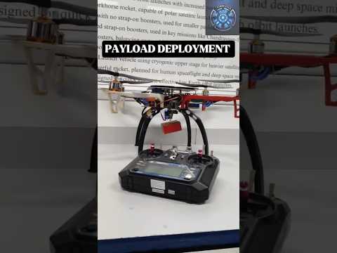 Drone payload deployment system