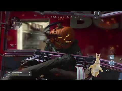 bunnyhoppin
