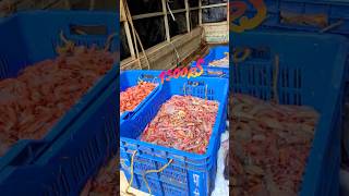 1500rs prawns at Malad Fish market #shorts #fish #fishmarket #vishalprabhe