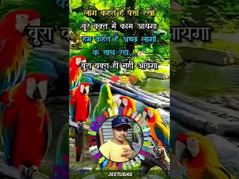 Shayari video❤️👌 #song #rakshabandhan #cover #love #music #lovesong #food #fishcurry #dance