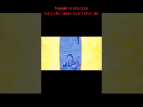 Naagin vs scorpion part 6