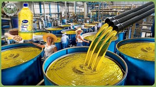 How Soybean Oil Is Made - Massive Process of Million Tons of Soybean Oil, Milk & Tofu