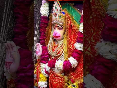 #5 Icchapurti balaji darshan || Saturday darshan #hanuman #saturday #darshan #shorts