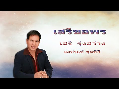 เสรีขอพร - เสรี รุ่งสว่าง 【OFFICIAL MV】