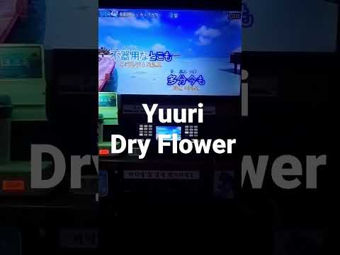 Yuuri(優里) - Dry Flower(ドライフラワー) 노래방에서 불러보았다. #shorts #yuuri #優里 #dryflower #ドライフラワー