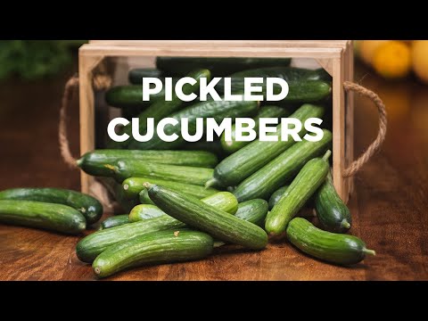 Our old family recipe for pickled cucumbers. Sweet and sour. And definitely crunchy.