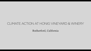 Climate Action at Honig Vineyard & Winery