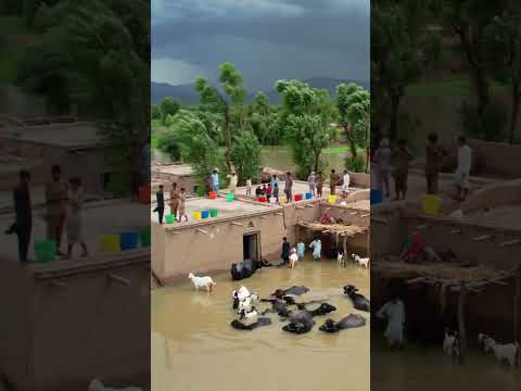 People's Life in Flood #yt #ytshorts #2025flood #villagerlifestyle #youtubeshorts #poorpeople