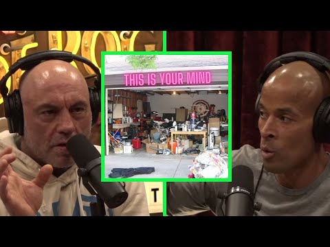JOE ROGAN: why CLUTTERED MIND is your BIGGEST ENEMY🤔🤔 #joerogan #jre #davidgoggins