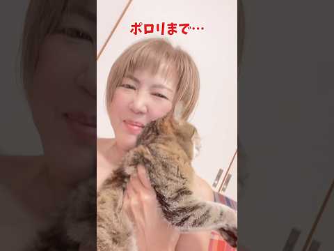 なつみにー# #にゃん #猫のいる暮らし #ねこねこ #ねこの日常 #ねこ #癒し猫#猫のいる風景#なつみ#nobra#手ブラ#ノーブラ#エロかわ