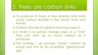 Save Tree