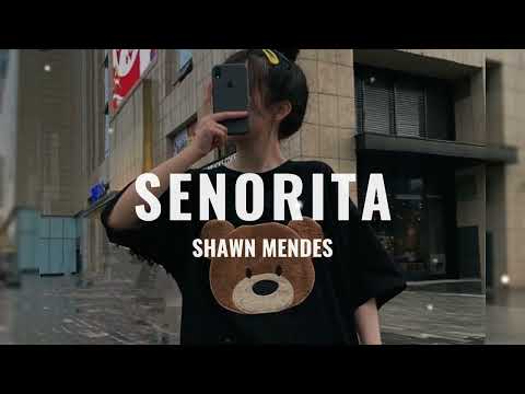 Shawn Mendes, Camila Cabello - Senorita（lyrics）#señorita #lyrics ✨