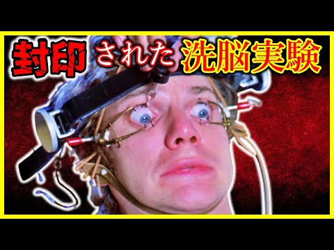 【禁断の実験】人格崩壊アメリカCIAが闇に葬った洗脳・人体実験がヤバすぎる...【学校では教えてくれない】