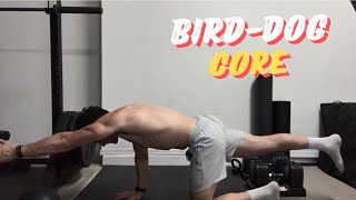 Bird-Dog | Core