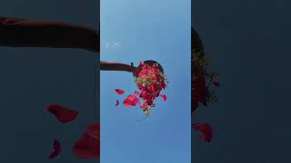 New template #capcutedit #fypage#vlogtemplate  #fypシ゚viral #capcuttricks #vloger #cinematicvideo